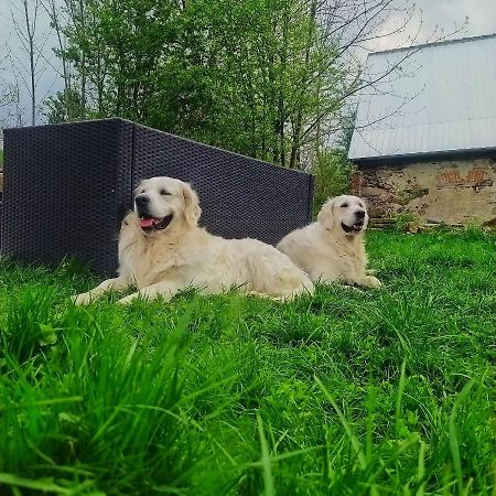 Polny Zakatek - Pokoje Goscinne Rybnica Exterior foto