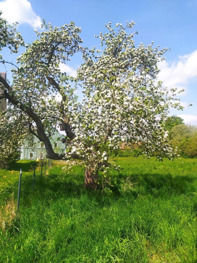 Polny Zakatek - Pokoje Goscinne Rybnica Exterior foto